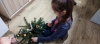 image0033