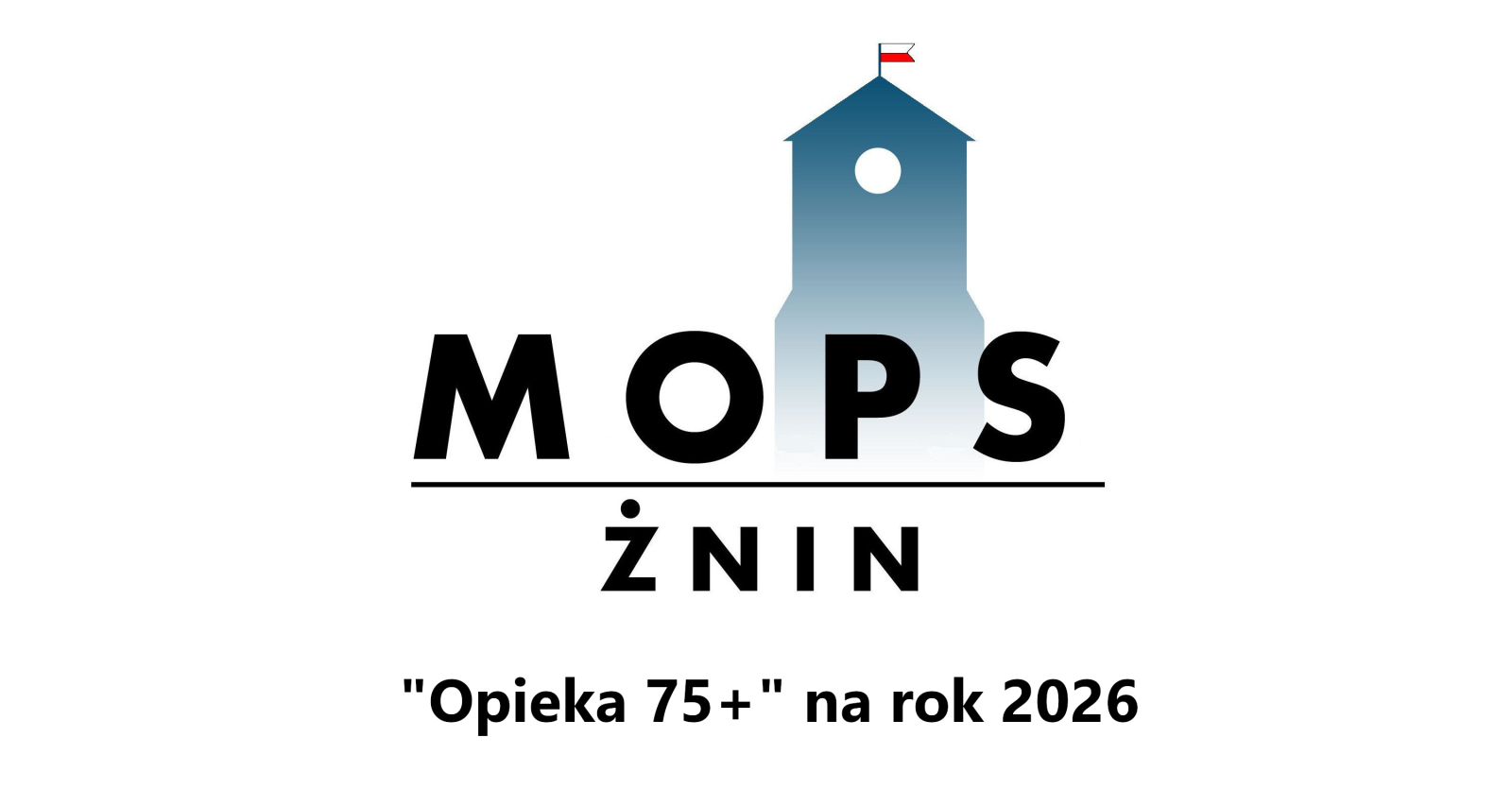Zdjęcie: 